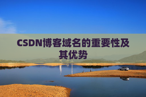 CSDN博客域名的重要性及其优势